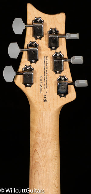 PRS SE Silver Sky Storm Gray (542)