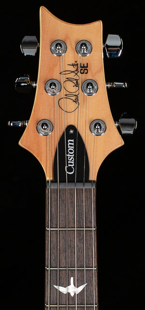 PRS SE Custom 24 Turquoise (400)