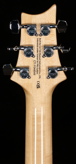 PRS SE Custom 24 Turquoise (400)