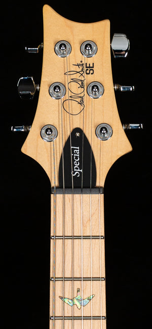PRS SE Swamp Ash Special Iris Blue (291)