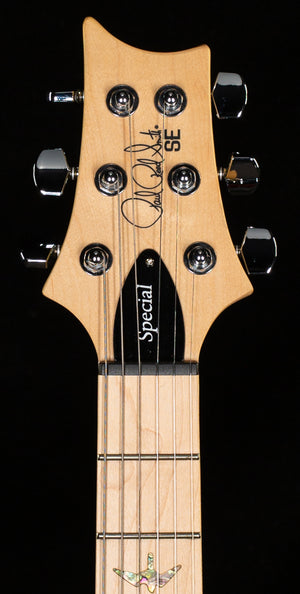 PRS SE Swamp Ash Special 22 Vintage Sunburst (189)