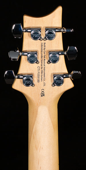 PRS SE Swamp Ash Special 22 Vintage Sunburst (189)