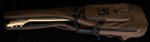 PRS SE Swamp Ash Special 22 Bolt-on Vintage Sunburst (338)