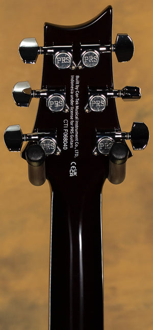 2023 PRS SE DGT Goldtop