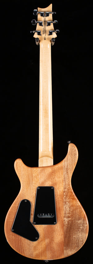 PRS SE Custom 24 Turquoise (967)