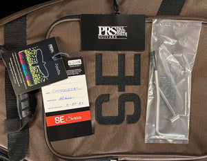 PRS SE Custom 24 Turquoise (967)