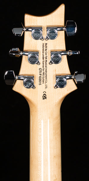 PRS SE Custom 24 Turquoise (515)