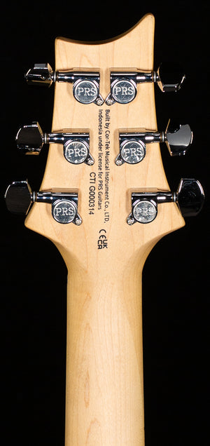 PRS SE Swamp Ash Special Bolt-on Iri Blue (314)