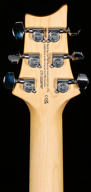 PRS SE Swamp Ash Special Iri Blue (797)