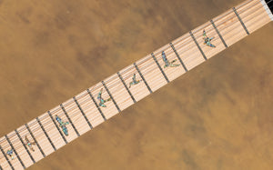 2025 PRS SE NF 53 Black Doghair