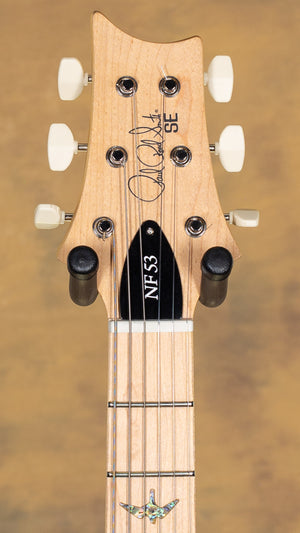 2025 PRS SE NF 53 Black Doghair