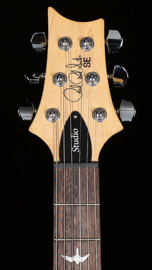 PRS SE Studio Standard Rosewood Sage Green (460)