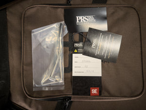 PRS SE Studio Standard Rosewood Sage Green (460)