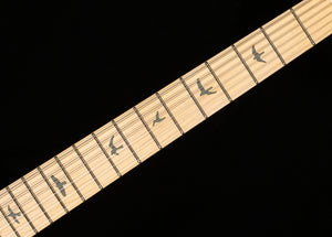 PRS SE Silver Sky Stone Blue (119)