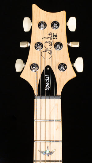 PRS SE Swamp Ash Special Iris Blue (694)