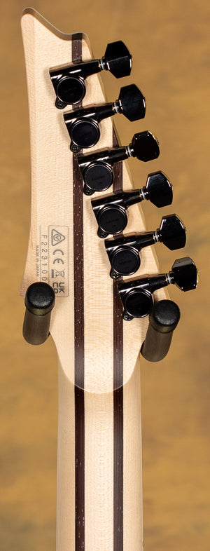 Ibanez Prestige RG5120M Frozen Ocean