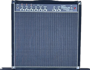 Amplified Nation Dirty Wonderland Black Suede 1x12 Combo