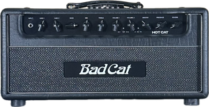 Bad Cat Hot Cat 45 Head Black