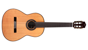 Cordoba C9 Parlor CD W/C (159)