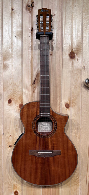 Ibanez Exotic Wood Series Nylon String Acoustic Guitar Koa