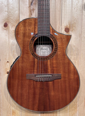 Ibanez Exotic Wood Series Nylon String Acoustic Guitar Koa