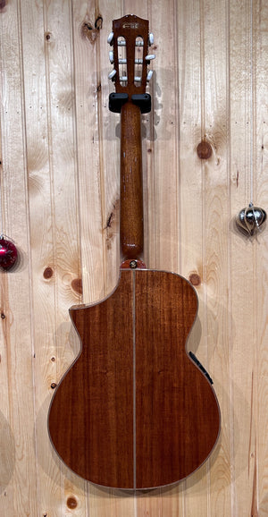 Ibanez Exotic Wood Series Nylon String Acoustic Guitar Koa