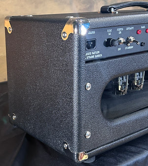 Amplified Nation Steel String Singer 50W Head