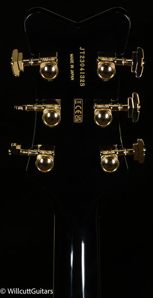 Gretsch G6134TG Limited Edition Paisley Penguin with String-Thru Bigsby Black Paisley (328)