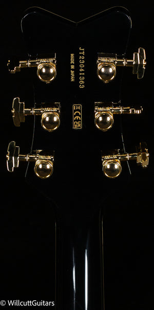 Gretsch G6134TG Limited Edition Paisley Penguin with String-Thru Bigsby Black Paisley (363)