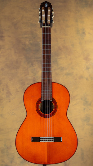 Yamaha G65A