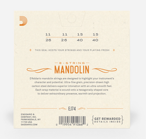 D'Addario EJ74 11-40 Mandolin, Phosphor Bronze