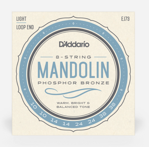 D'Addario EJ73 10-38 Mandolin, Phosphor Bronze