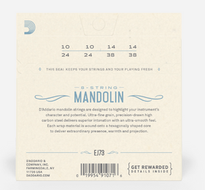 D'Addario EJ73 10-38 Mandolin, Phosphor Bronze