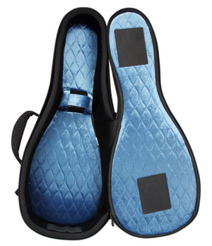 Reunion Blues Continental A and F-Style Mandolin Case, Midnight Series