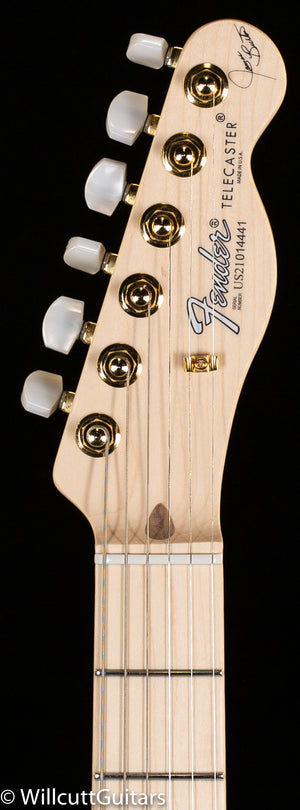 Fender James Burton Telecaster Maple Fingerboard Blue Paisley Flames (441)