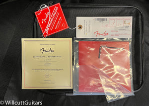 Fender American Performer Telecaster Hum Aubergine (000)