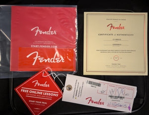 Fender American Professional Classic Telecaster Maple Fingerboard Faded Lake Placid Blue (015)