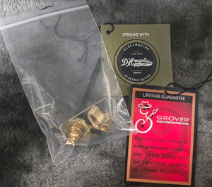 D'Angelico Deluxe Bobby Weir 3 SS Matte Stone (287)