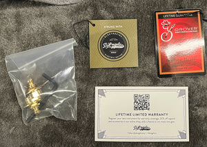 D'Angelico Deluxe Bobby Weir 3 Matte Stone (292)