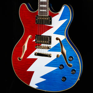 D'Angelico Premier Grateful Dead DC (438)