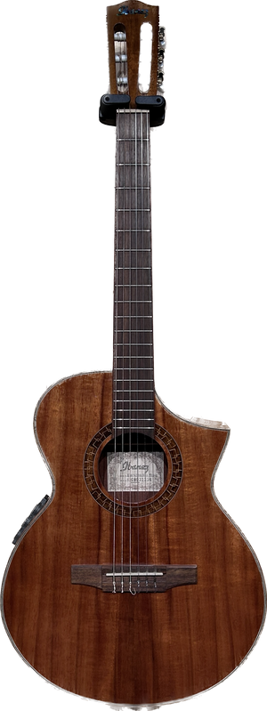 Ibanez Exotic Wood Series Nylon String Acoustic Guitar Koa