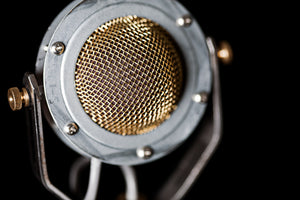 Ear Trumpet Labs "Edwina" Cardioid Condenser Microphone