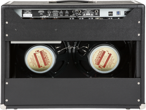 Fender '65 Twin Reverb 120V (982)