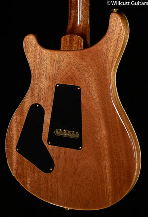 PRS 35th Anniversary Custom 24 Violet Artist Package