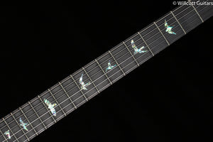 PRS 35th Anniversary Custom 24 Violet Artist Package