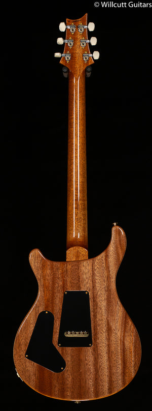 PRS 35th Anniversary Custom 24 River Blue Artist Package