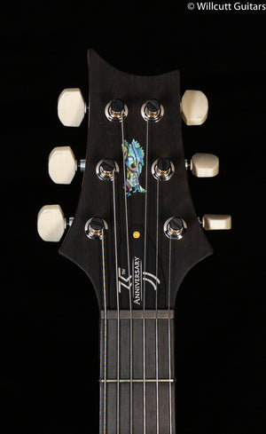 PRS 35th Anniversary Custom 24 River Blue Artist Package