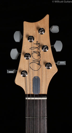 PRS John Mayer Silver Sky Polar Blue Rosewood