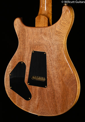 PRS DGT Wood Library Edition Faded Blue Jean Brazilian Fretboard