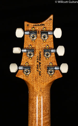 PRS DGT Wood Library Edition Faded Blue Jean Brazilian Fretboard